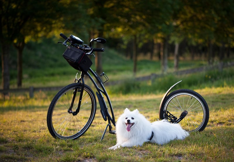 Physical Well-being